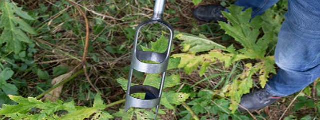 Hogweed auger (Beerenklau Stecher) - Tiefwurzelentferner